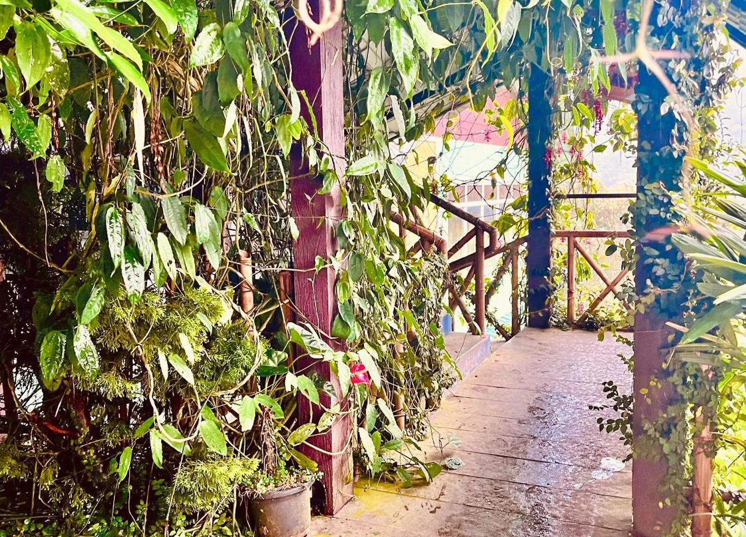 Munnar Tea Estate Cottage And Resort - Away From City Hustle Ινδία