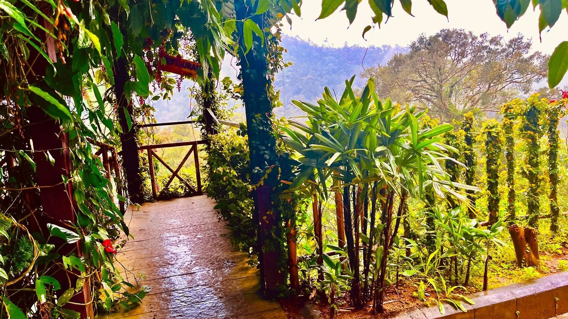 Munnar Tea Estate Cottage And Resort - Away From City Hustle